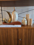 Teak Articulated Fish Puzzle