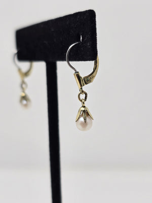 Kordes & Lichtenfels Pearl Earrings