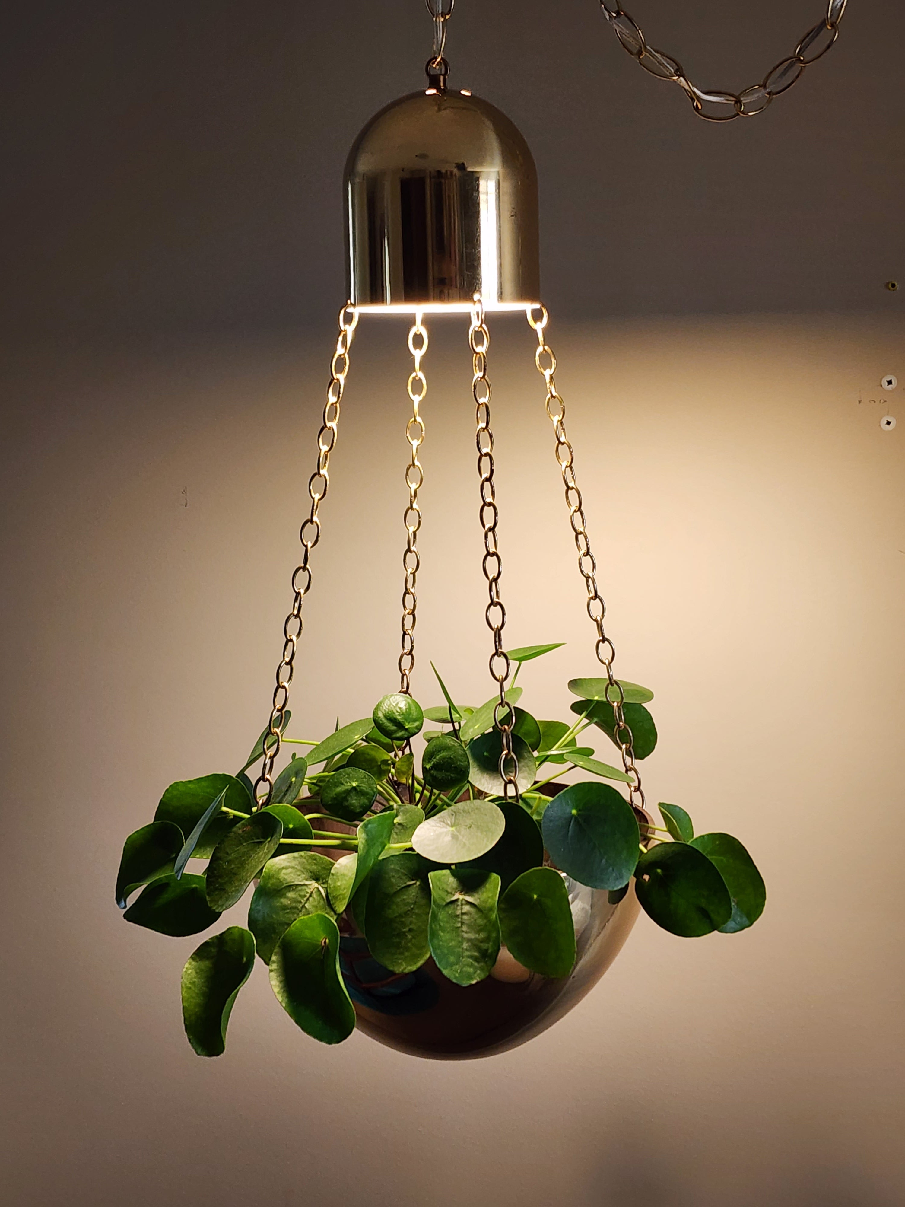Brass Planter Swag Lamp